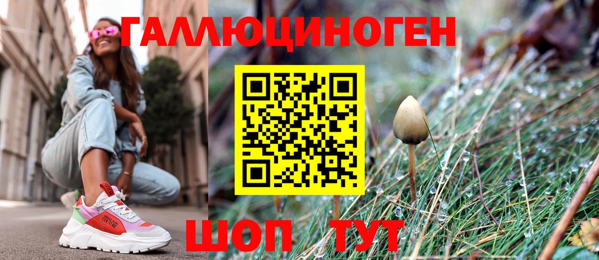 Галлюциногенные грибы Cubensis  Вход с VPN  Искитим 